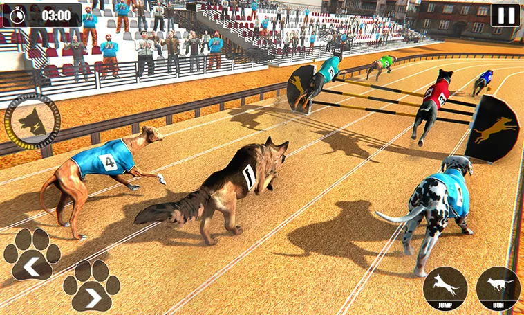 Hướng Dẫn Chơi Game Nhanh Đua Chó Tại AE888 Chuẩn Xác Nhất